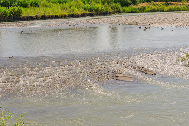 Similar image 21279968