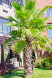 Similar image 21279971