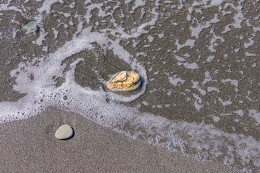 Similar image 21279978