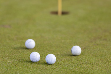 Similar image 21288508