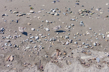 Similar image 21284250