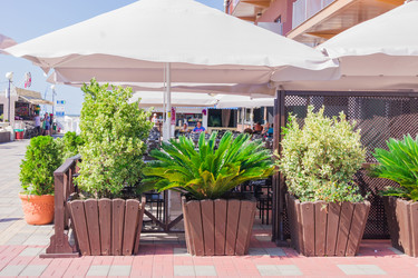 Similar image 21289426