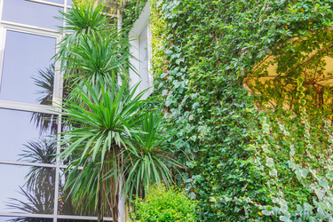 Similar image 21288885