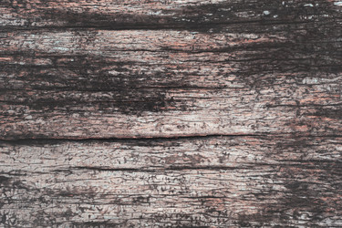 Similar image 21280078