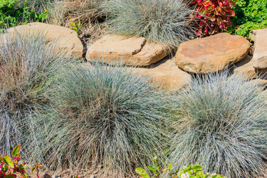 Similar image 21288900