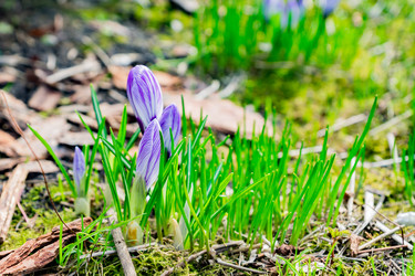 Similar image 21289987