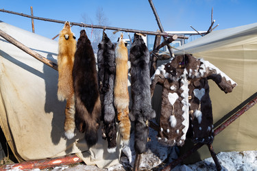 Similar image 21286240