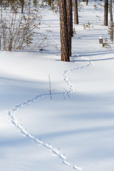 Similar image 21286241