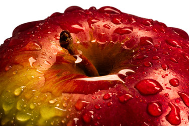 Similar image 21286246