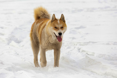 Similar image 21286253