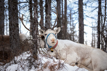 Similar image 21286254