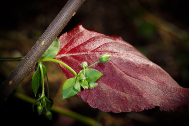 Similar image 21286255