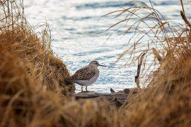 Similar image 21286439