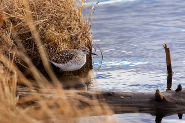 Similar image 21286444