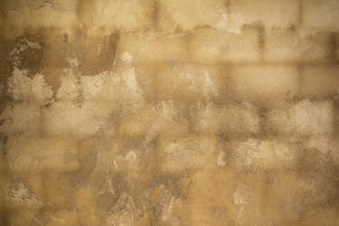 Similar image 21286455