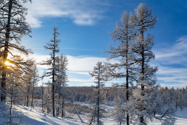 Similar image 21286457