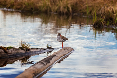 Similar image 21286458