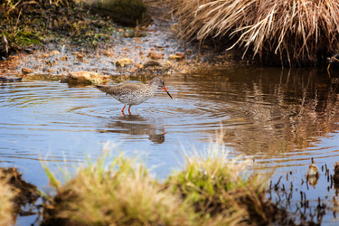 Similar image 21286462