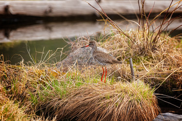 Similar image 21286464