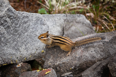 Similar image 21286477