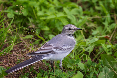 Similar image 21286478