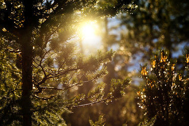 Similar image 21286480