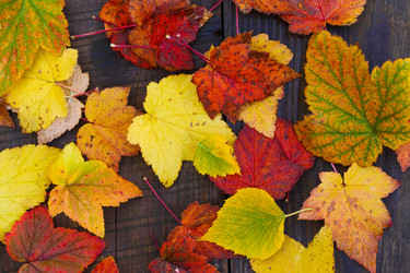 Similar image 21286489