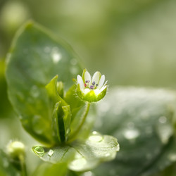 Similar image 21286490