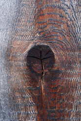 Similar image 21286259