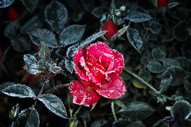 Similar image 21286262