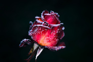 Similar image 21286263