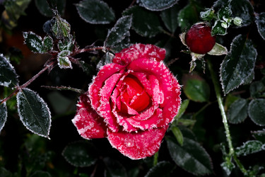 Similar image 21286264