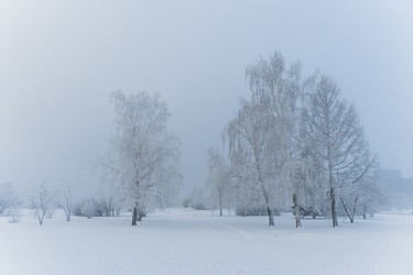 Similar image 21286269