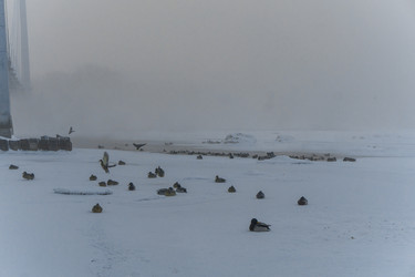 Similar image 21286270