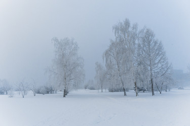 Similar image 21286273