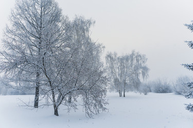 Similar image 21286276