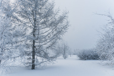 Similar image 21286277