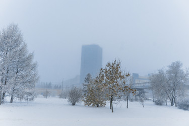 Similar image 21286278