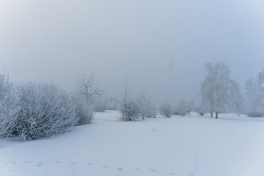 Similar image 21286281