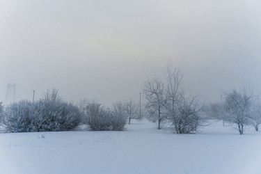 Similar image 21286282