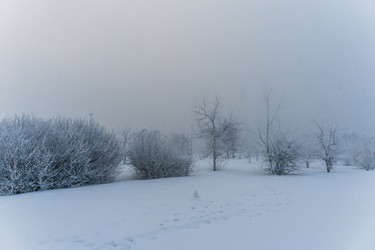 Similar image 21286283