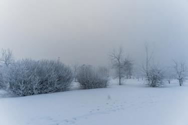 Similar image 21286284