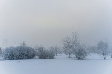 Similar image 21286285