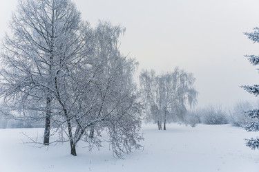 Similar image 21286286