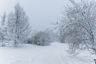 Similar image 21286289