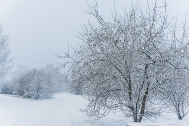 Similar image 21286290