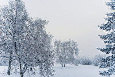 Similar image 21286293