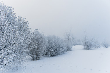 Similar image 21286294