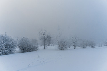 Similar image 21286295