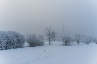 Similar image 21286296